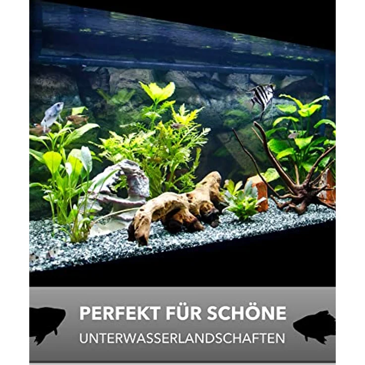 GarPet Aquarium Becken 30x20x20 cm 12 L rechteckig Glas Aquariumbecken Garnelenaquarium Mini Aquarium Salzwasseraquarium Nanobecken, Fisch – Bild 5