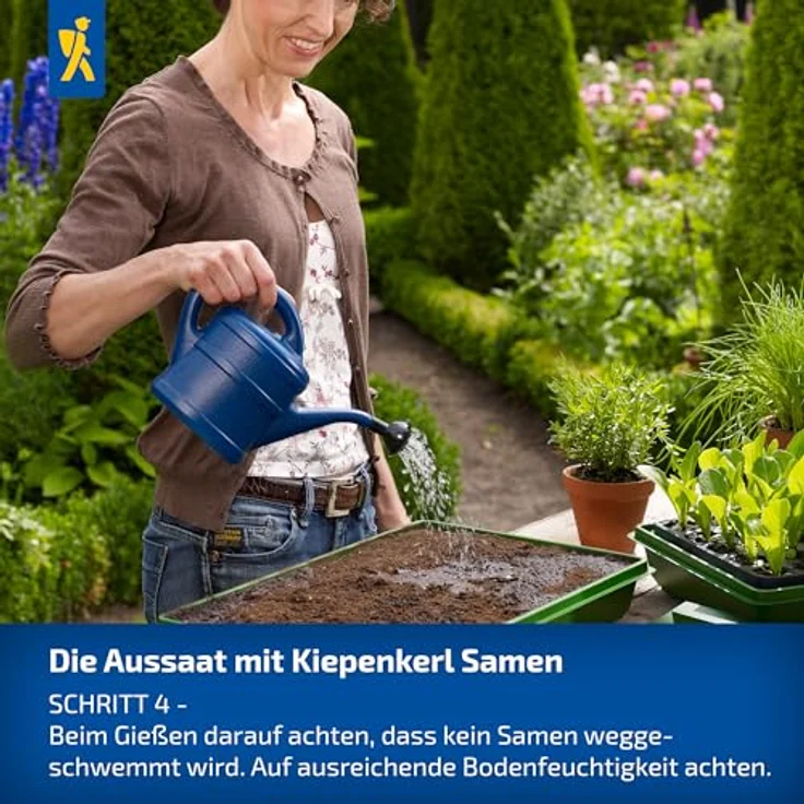 Kiepenkerl Profi-Line Obstsamen Erdbeere Tresca, kompaktwachsende Erdmbeere mit großen aromatischen Früchten, Erntezeit Juli – Bild 6