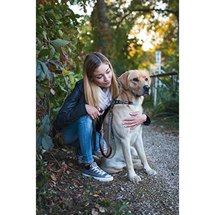 Kerbl 81049 Halsband Shiny Night 20mmx40-55cm, 0.058 kg – Bild 3