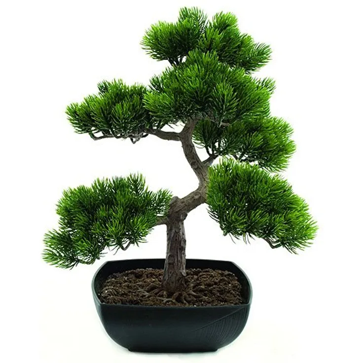 EUROPALMS Bonsai-Pinie, Kunstpflanze, 50cm | Bonsai-Pinie, hervorragend als Tischdeko geeignet
