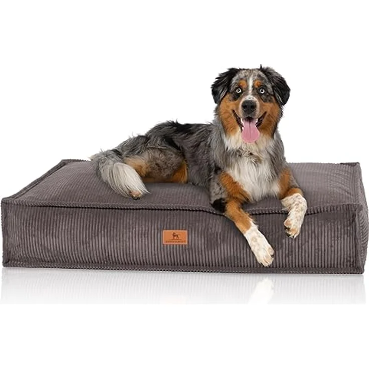 Knuffelwuff Hundematte Lesedi, Cord Hundekissen mit Schaumstoffflocken, waschbarer Bezug, rutschfester Unterboden – Bild 1