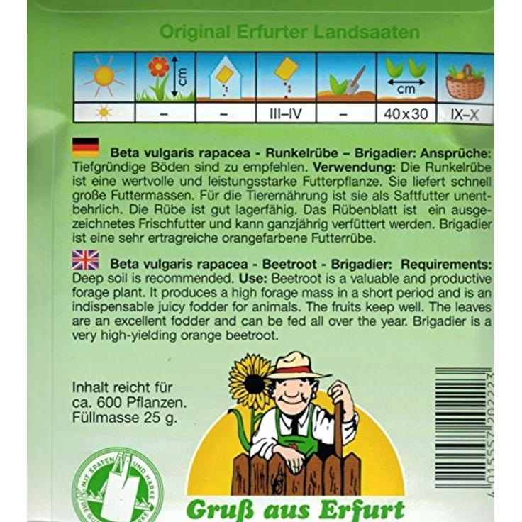 N.L. Chrestensen Runkelrübe, Eckdorot (Typ Rote Walze) 25 g – Bild 3