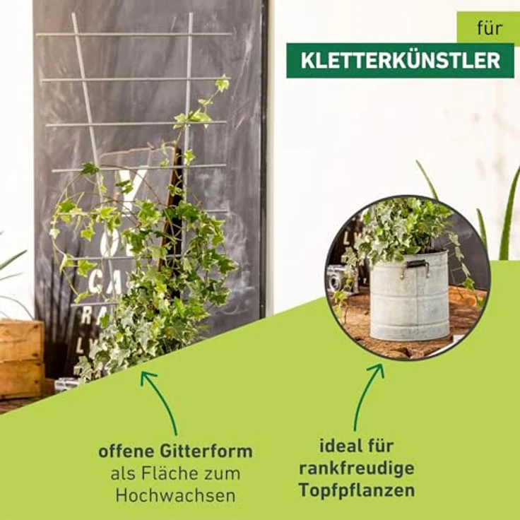 Windhager Blumenstütze, Rankhilfe, Gitterspalier, Rankgitter für Topfpflanzen, Metall, 77 x 34 cm, 05709 – Bild 4