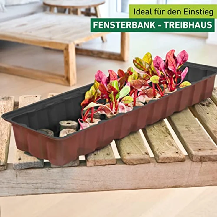 Windhager Zimmer-Gewächshaus MAXI XL Fensterbank-Treibhaus Pflanzen-Anzucht inkl. 36 Quelltabs, terracotta - anthrazit, 16,5 x 54,5 x 11 cm, 06841 – Bild 4