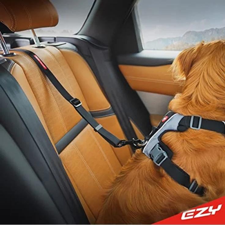 Click ISOFIX Hundegurt - Hunde Sicherheitsgurt (43-65cm) – Bild 2