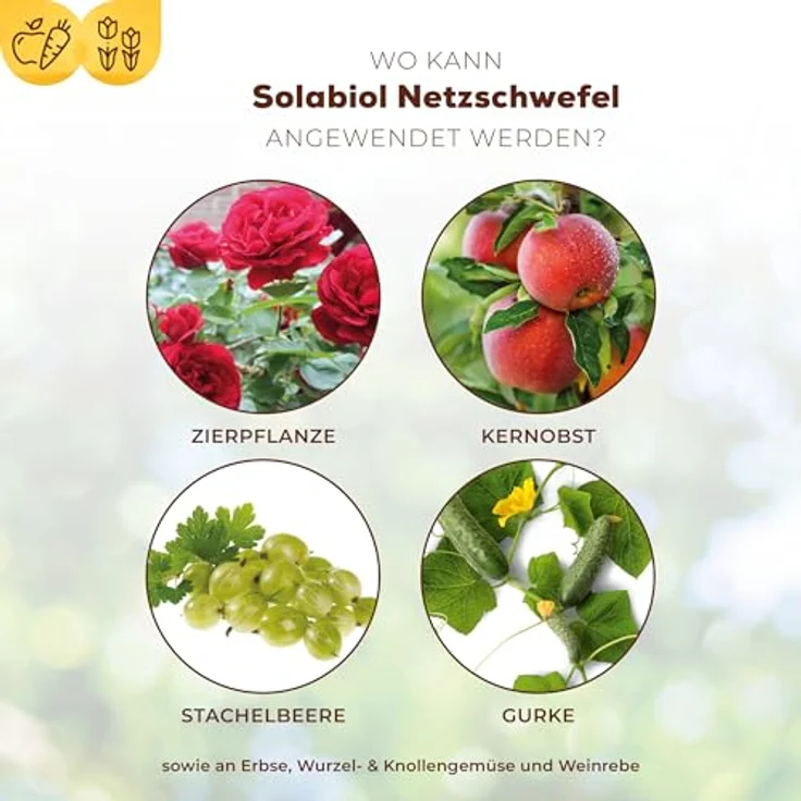 SBM Solabiol Netzschwefel, 75 g – Bild 3