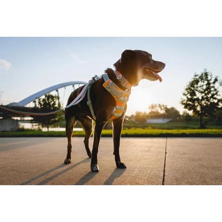 RUFFWEAR Front Range-Halsband, längenverstellbares Hundehalsband mit V-Ring, Coastal Fade 20"-26" – Bild 4