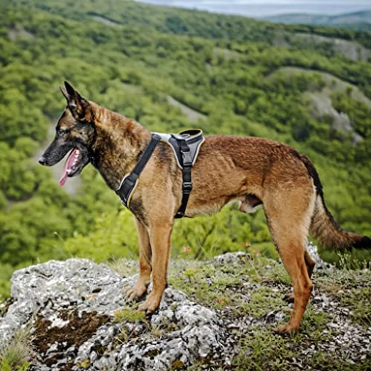 JULIUS K-9 IDC Longwalk Geschirr, Rosa-Grau, Größe XS - Bequemes Geschirr für lange Spaziergänge – Bild 5