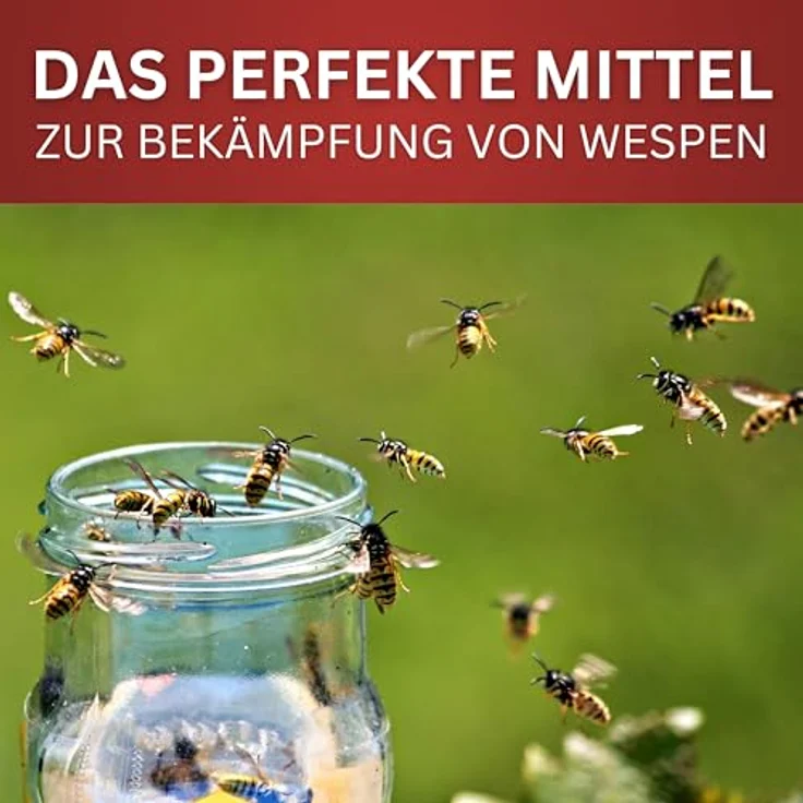 BIODELTA Wespenspray LTK-008, effektives Anti-Wespen-Spray, fleckenfrei für Garten, Terrasse und Grillen, 500 ml – Bild 3