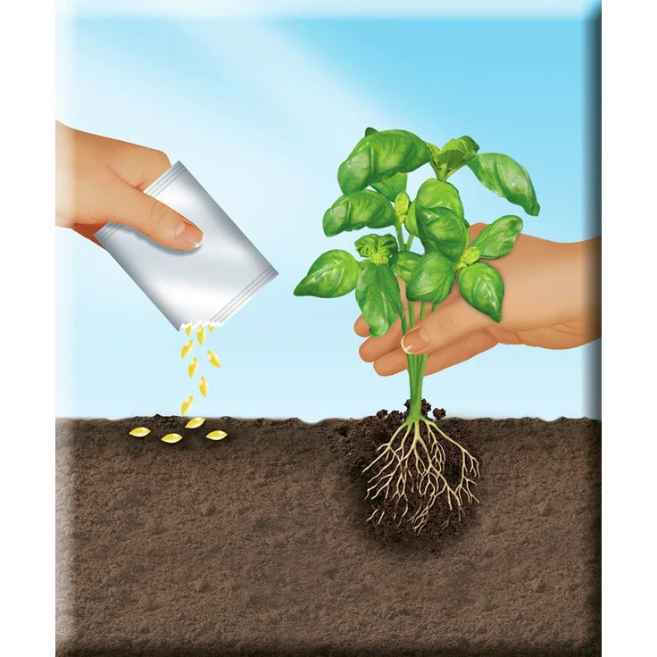 COMPO Sana Anzucht- und Kräutererde 20 Liter – Bild 4