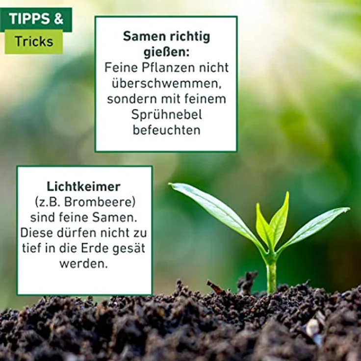 Windhager Samen-Dosierstift – Bild 6