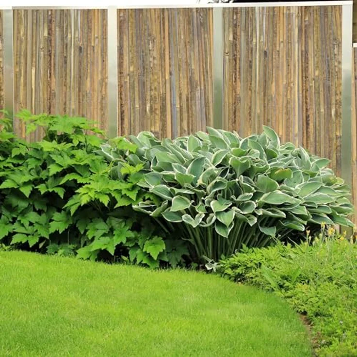 UNUS Bambus-Sichtschutzmatte, flache Gartenzaun Matte, 90-160 cm Höhe, 3 und 6 Meter Länge, robust und wetterfest – Bild 3