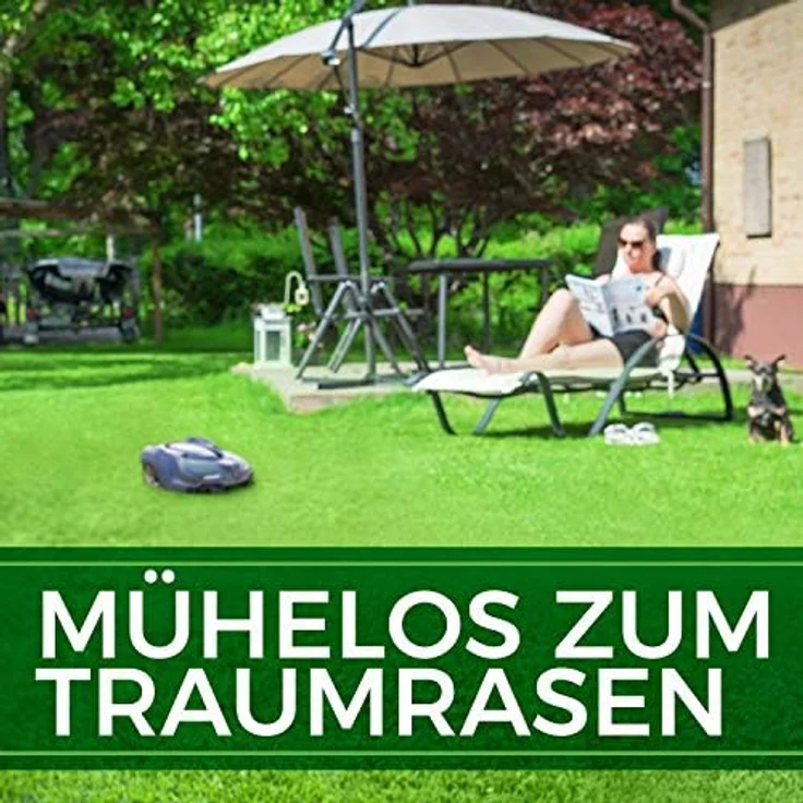NATUREFLOW Mähroboter Rasensamen schnellkeimend 1kg, Test Sehr Gut, für pflegeleichten Garten, Unkrautfrei, Made in Germany – Bild 5