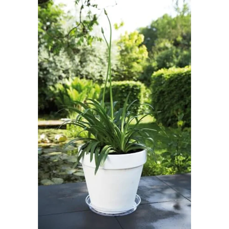Elho Uni-untersetzer Rund 133m - Transparent - Drinnen & Draußen - Ø 32.6 x H 4.2 cm – Bild 7