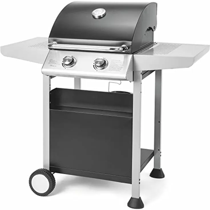 Fieldmann Automatischer Gasgrill mit 2 Brennern, Mehrfarbig