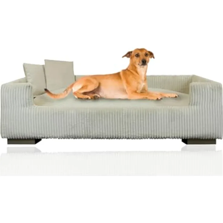 Rohrschneider Hundesofa Cord für mittelgroße und Grosse Hunde, hoher Rand, waschbarer Bezug, 100% Polyester, beige, B 90 x T 57 x H 26 cm, inkl. 2X Dekokissen