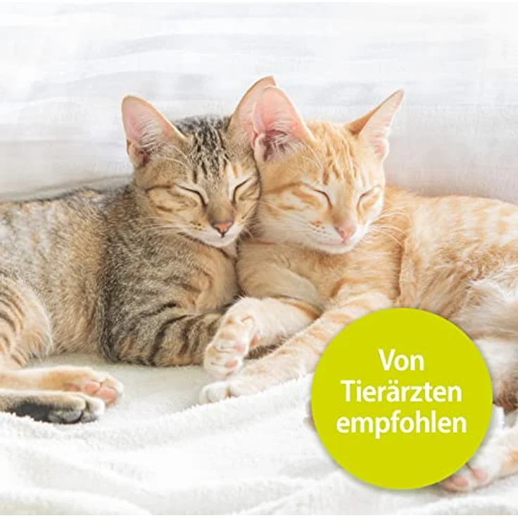 Bactador Katzentoiletten Enzymreiniger Katzenurin Geruchsentferner Spray 500ml Mikrobiologischer Geruchsneutralisierer Katzenurin & Tiergerüche Porentiefe Reinigung Hunde & Katzenumgebung – Bild 5