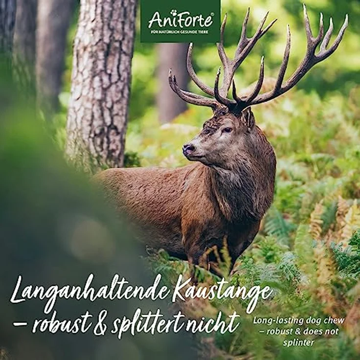 AniForte Hirschgeweih für Hunde S Kauspielzeug aus 100% Geweih – Kauknochen zur Beschäftigung & Zahnpflege, robust & langlebig, Kauwurzel, Kauholz Zahnhygiene, Abwurfprodukt vom Hirsch – Bild 5