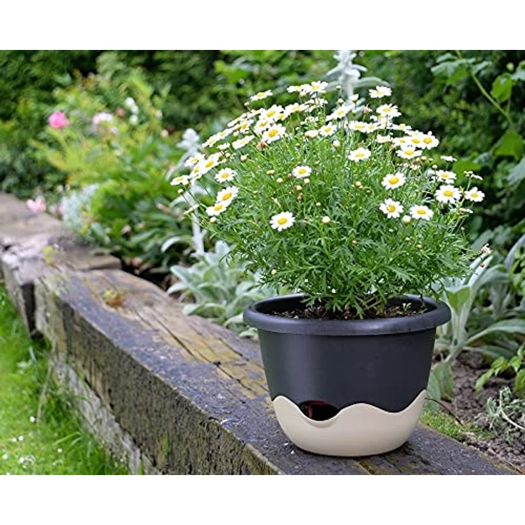 Plastia Blumenampel, Dunkel und Hell Anthrazit, 25 x 25 x 17 cm, Bewässerungsampel MARETA – Bild 5
