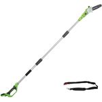 Greenworks 24V Akku-Hochentaster 20cm - ohne Akku und Ladegerät - 2000107