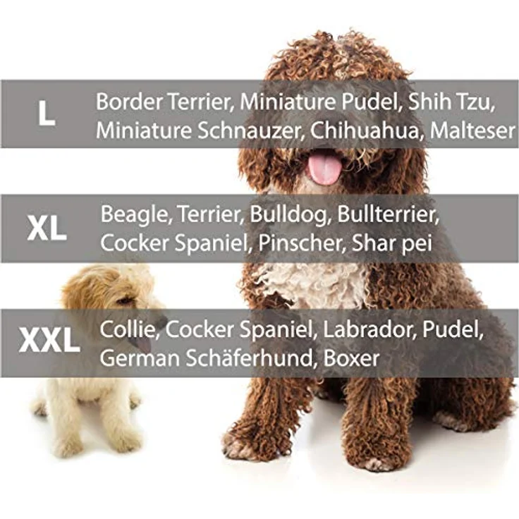 DOGGY Hobbydog XL VICBEB4 Eckig Hundebett, Victoria Katzenbett Schlafplatz, beige mit braun, Codura-Material, waschbar, EU-Produktion – Bild 4
