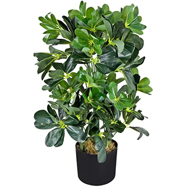 Decovego Schefflera Aralie Strahlenaralie Arboricola Kunstpflanze Kunstbaum Künstliche Pflanze 60 cm Innendekoration Kunst Pflanze wie echt im Topf