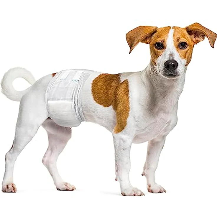 Dipy Windeln für männliche Hunde, Größe S, 30 – 46 cm, 12 Stück – Bild 3