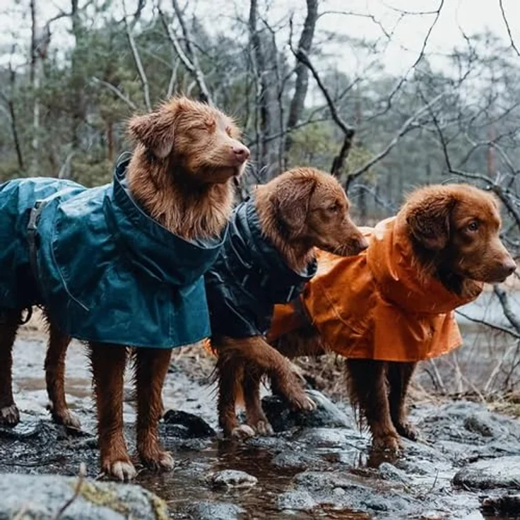 Hurtta Monsoon Dog Raincoat, BlackBerry, 50 cm – Bild 5