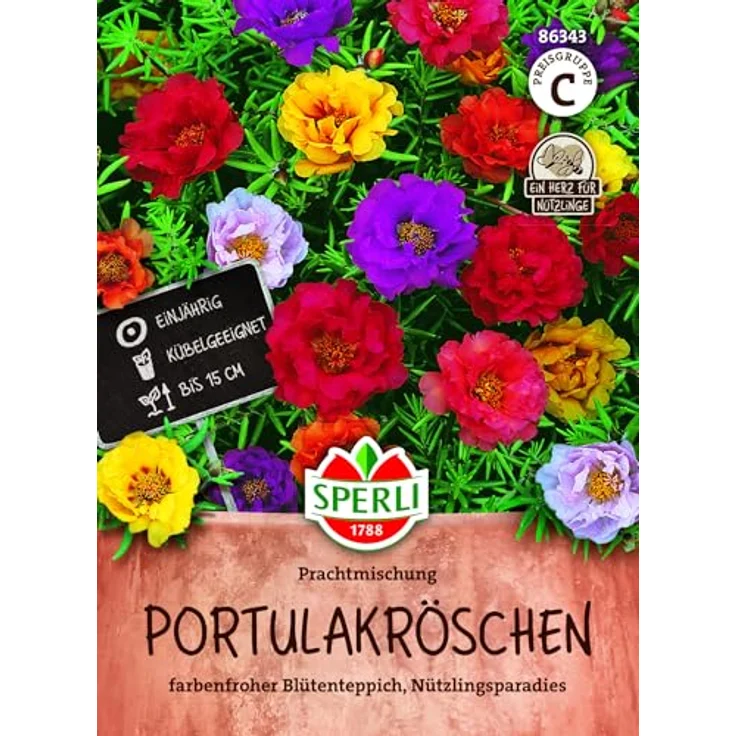 Sperli Portulakröschen Prachtmischung – Bild 2
