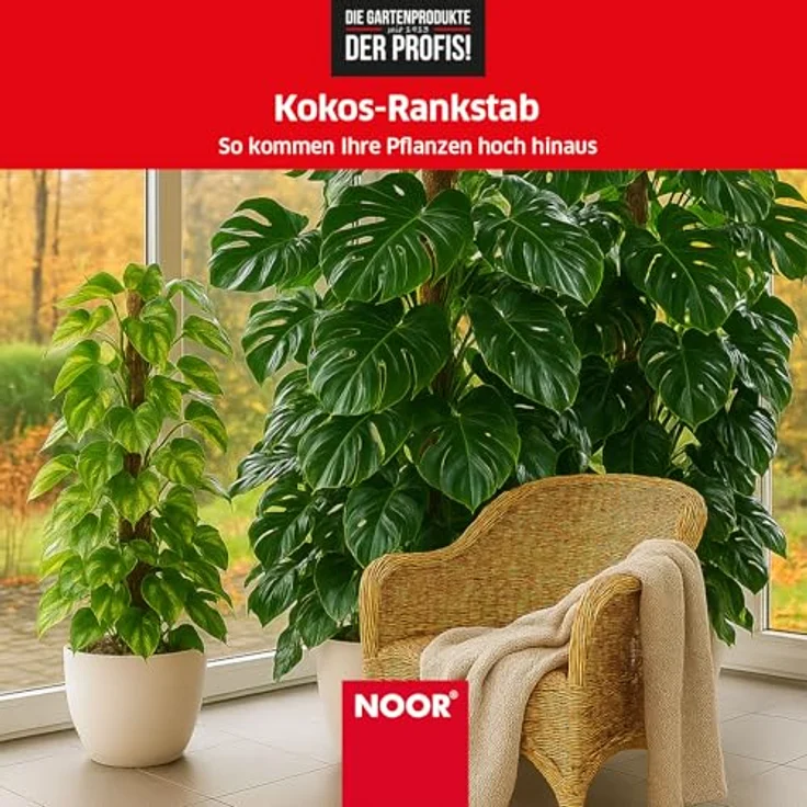 NOOR Kokos-Rankhilfe mit Holzstiel, verlängerbare Pflanzhilfe aus 100% Naturmaterial, stabile Kletterhilfe für Pflanzen, Kokosstab 150 x 7 cm Ø – Bild 2