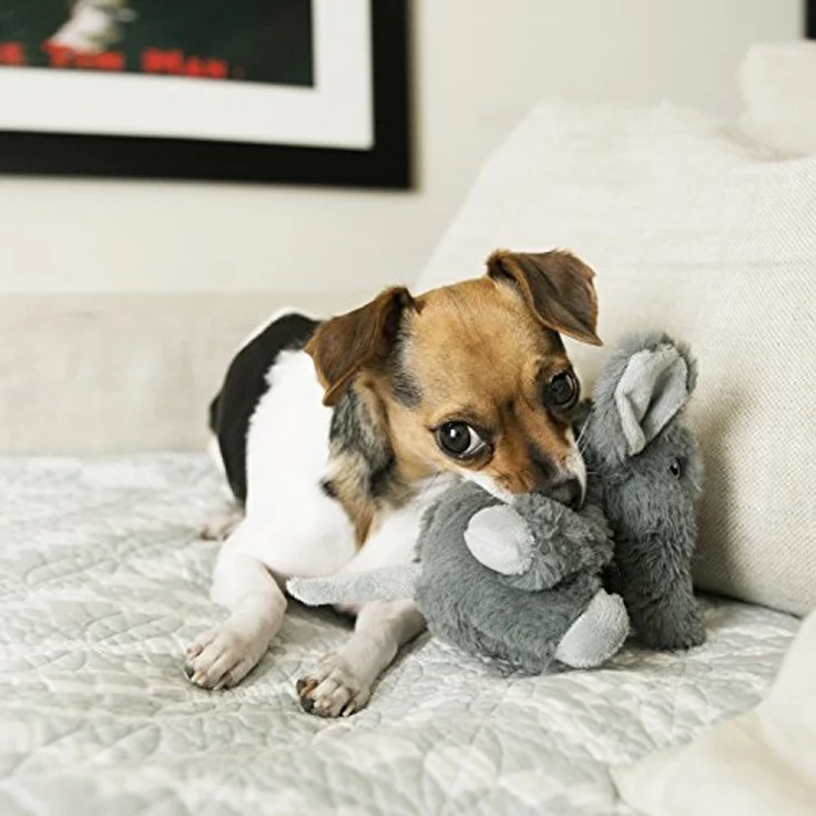 KONG - Comfort Kiddos Elefant - XS - 1 Stück – Bild 2