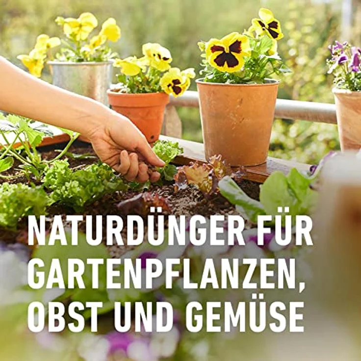 Compo BIO Universal Langzeit-Dünger mit Schafwolle, 2 kg – Bild 2