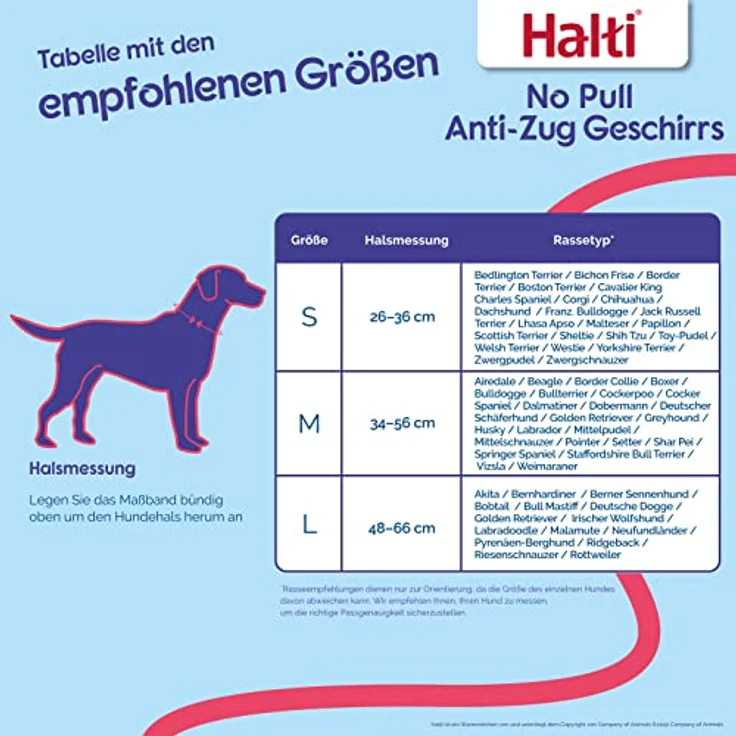 HALTI No Pull Anti-Zug Geschirr, Größe Mittel - Verhindert, dass Ihr Hund an der Leine zieht, Gepolsterter Brust- und Beingurt, Reflektierendes Gurtmaterial, Einfache Anpassung und Benutzung – Bild 3