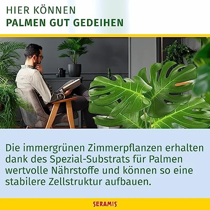 SERAMIS Spezial-Substrat für Palmen, 15 Liter – Bild 3