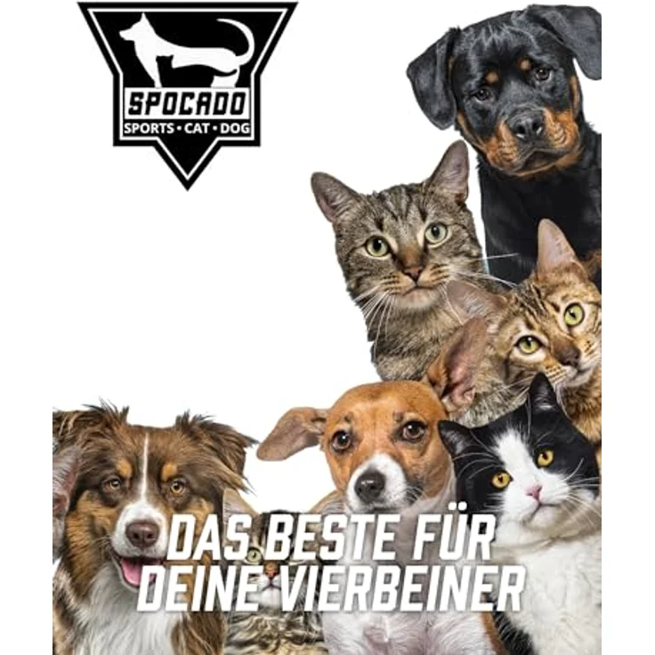 Spocado Villa Hunde Transportbox - Sicherer, bequemer Transport für deinen Hund - Stabile Konstruktion, leicht, langlebig und einfach zu reinigen (69 x 60 x 54 cm) - Weiß – Bild 5