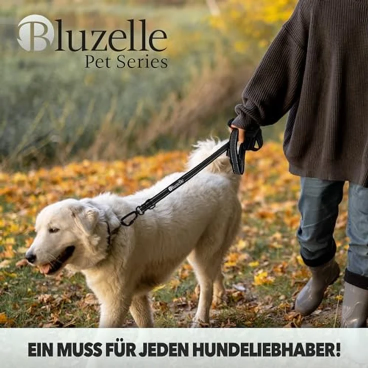 Bluzelle Hundeleine (XL, Hund, Spazieren), Halsband + Leine, reflektierende Nähte, rutschfester Griff – Bild 7