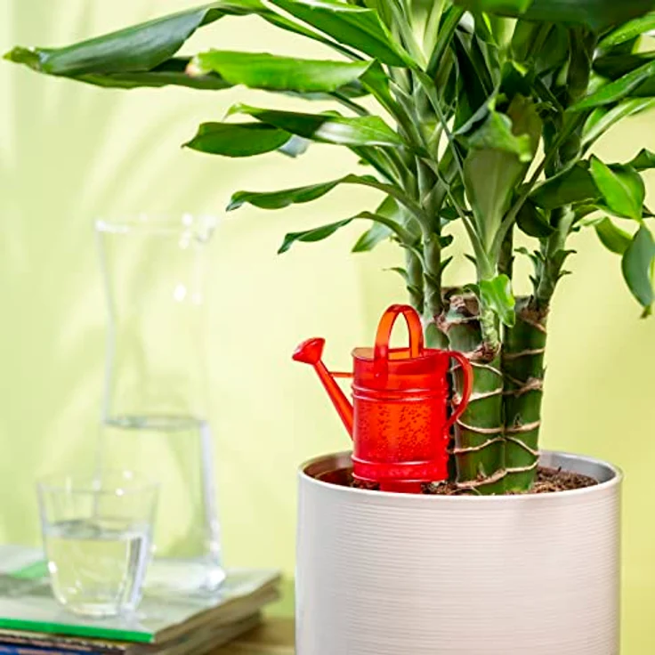 Scheurich Wasserspeicher Gießkanne 240 ml, Kunststoff mit wasserdurchlässigem Tonkegel für Innen und Außen – Bild 2