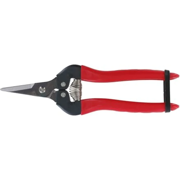Ars 300SS, Traubenschere, 1228-00 mittelgroß 17,1 cm 100g Gartenschere Leseschere Ernteschere – Bild 5