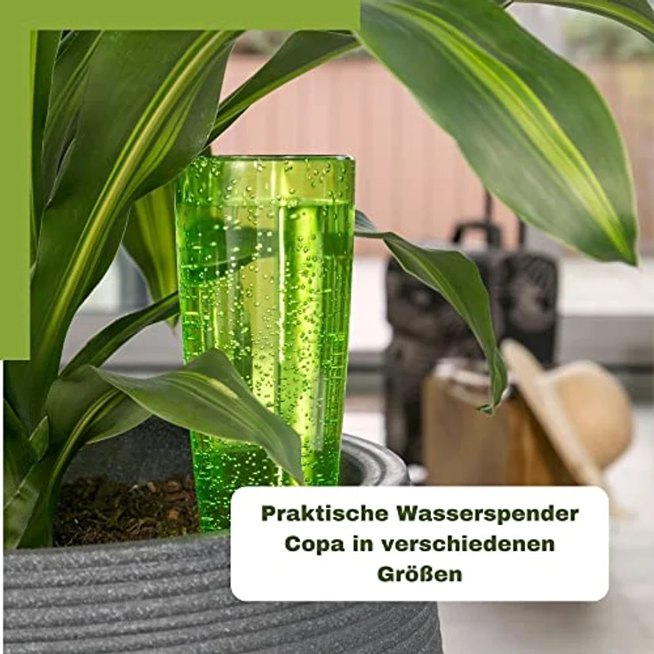 Copa M Bewässerung Wasserspender Bewässerungskugel grün (4, Grün) - Scheurich – Bild 6