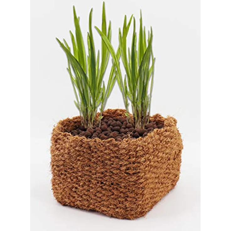Aquagart Kokos Pflanzkorb 10er Set, 20cm x 20cm x 15cm, 100% natürliche Wasserpflanzen-Töpfe für Teich & Ufer, ohne Kunststoff – Bild 3