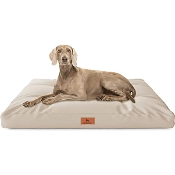 Knuffelwuff Hundekissen Gatsby aus Oxford-Gewebe 110x89cm Beige