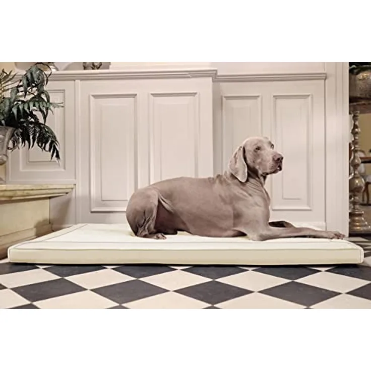 tierlando® Carlos Ortho-Medic Orthopädische Hundematte Velours-Kunstleder VISCO Hundebett Größe: M - 80x60cm | Farbe: 05 Creme