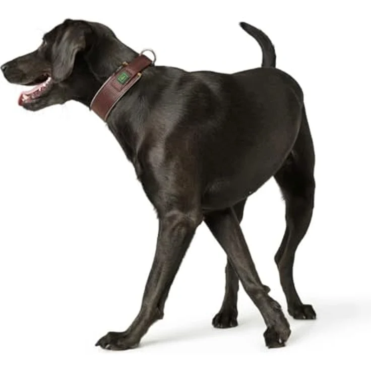 Hunter Hunde-Halsband Neopren Reflect braun-karamell L – Bild 3