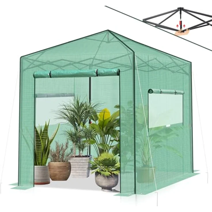 Sekey Gewächshaus 245x245x180 cm, Stabiler Folien-Pop-Up-Balkon für optimales Pflanzenwachstum, Grün – Bild 1