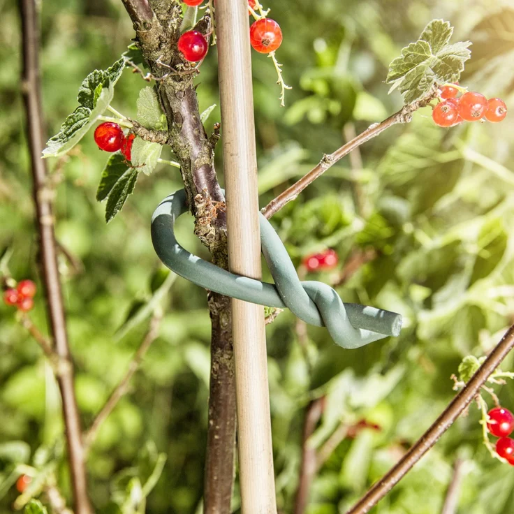 Windhager Gartendraht mit Gummimantel'' ''5 m'''' – Bild 2