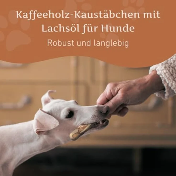 Wildfang® Kauwurzel aus Kaffeeholz mit Lachsöl, langlebiges Kauspielzeug für Hunde, Zahnpflege & Kaumuskel Training, Größe S – Bild 2
