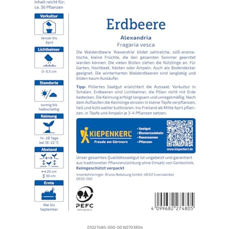 Kiepenkerl Profi-Line Obstsamen Erdbeere Alexandria, Fragaria vesca, 50 Stück für 25 Pflanzen, Erntezeit Mai – Bild 2