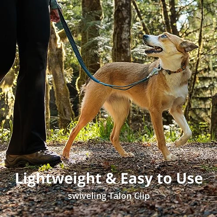 Ruffwear, Roamer Bungee-Hundeleine zum Laufen, Radfahren oder Wandern, kann mit der Hand oder ohne Hände verwendet Werden, Felsgrün, 20-30 cm – Bild 5