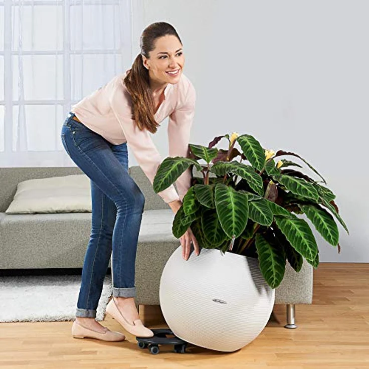 Lechuza Rolluntersetzer für Classico 70 - Preisvergleich – Bild 3