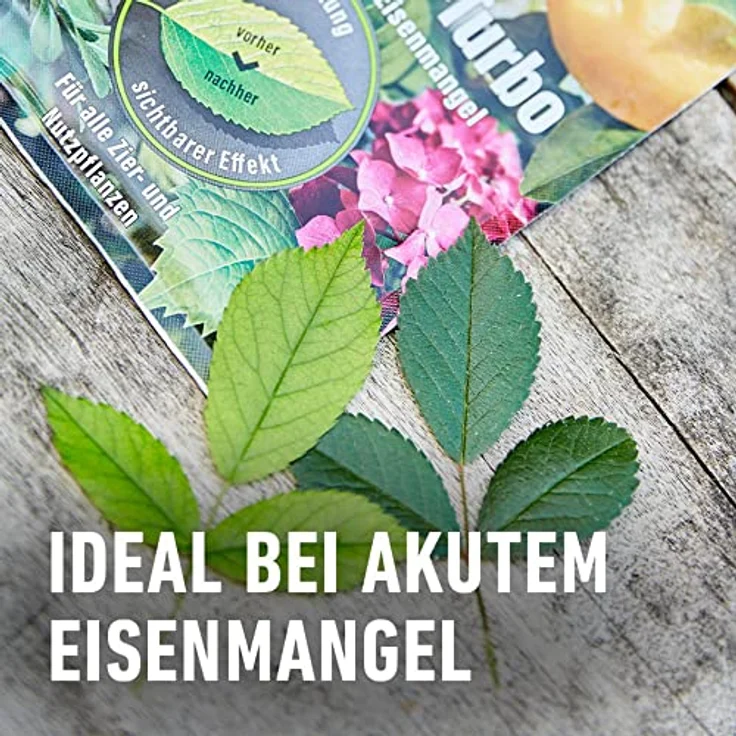 Compo Fetrilon 13% Fe 20 g – Bild 5